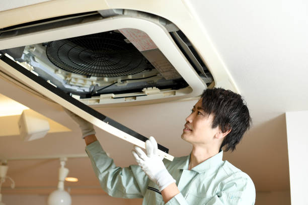 Best Best Air Duct Cleaning Company  in Louise, TX