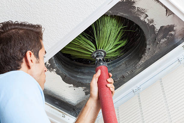 Best Air Duct Cleaning Company Near Me  in Louise, TX